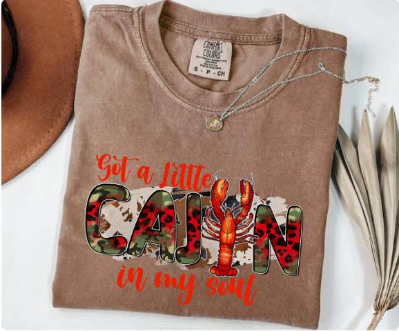 Got a Little Cajun in My Soul Shirt | Funny Louisiana Cajun Pride Tee