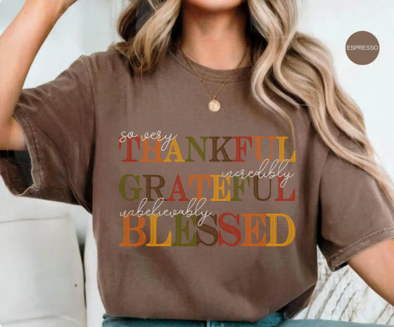 Thankful Grateful Blessed Sweatshirt | Fall Colorblock Typography Crewneck