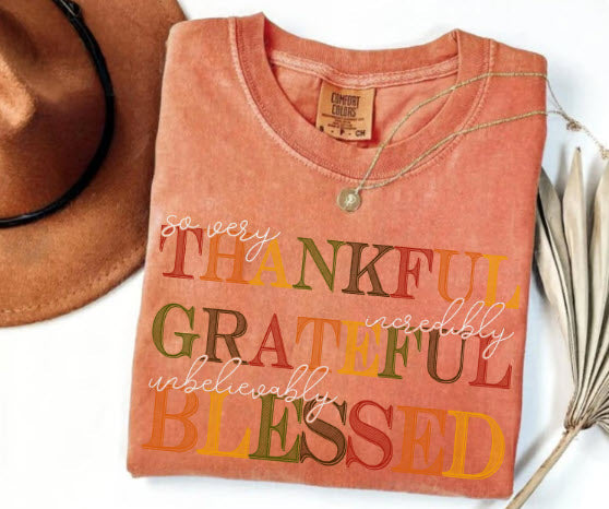 Thankful Grateful Blessed Sweatshirt | Fall Colorblock Typography Crewneck